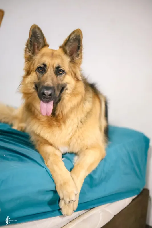 Rani lying on the bed, looking at the camera